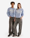Roots Sporting Goods 99 Crew Sweatshirt - CHALK BLUE Roots Sporting Goods 99 Crew Sweatshirt - CHALK BLUE