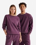 Roots One Crew - PURPLE PLUM Roots One Crew - PURPLE PLUM
