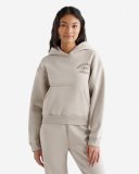 Roots 1973 Athletics Shrunken Hoodie - SILVER LINING Roots 1973 Athletics Shrunken Hoodie - SILVER LINING